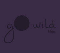 Gowildfilms, sincere filmmaking to demonstrate results with a clever and artistic approach.
